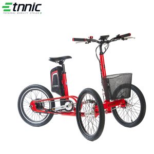Etnnic City Trike